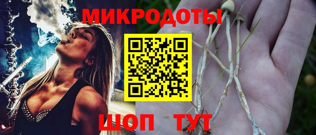 Галлюциногенные грибы мицелий Томск