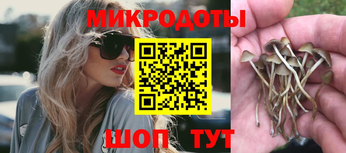 Галлюциногенные грибы Cubensis  Вход с VPN  Галлюциногенные грибы Magic Shrooms  где найти наркотики  Томск 